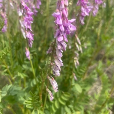 Cheryl296057210's profile picture. 