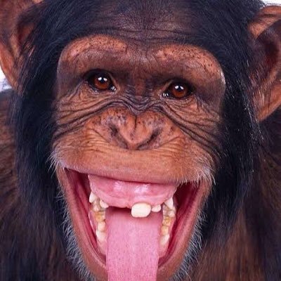 DeeRealJoshuaaa's profile picture. Degen || Blockchain Enthusiast || Building WildLife and future of blockchain. $BSC Binance super cycle