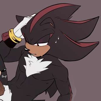 20 - Sonadow fanatic ( 🖤🔄💙)-🔞- NO MINORS- pfp: @toodamncycle