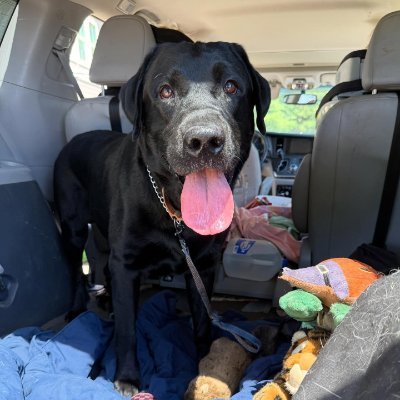 jessica_neil168's profile picture. 