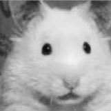 Nag1vn's profile picture. 