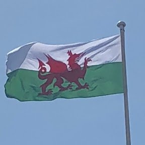 Boogel21's profile picture. 