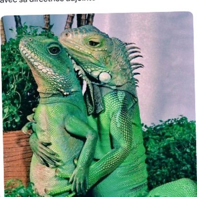 andre_marc33764's profile picture. 