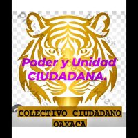 César E. López. Pte. Colectivo Ciudadano Oaxaca. (@tigrecolectivo) 's Twitter Profile Photo César E. López. Pte. Colectivo Ciudadano Oaxaca. (@tigrecolectivo) 's Twitter Profile Photo