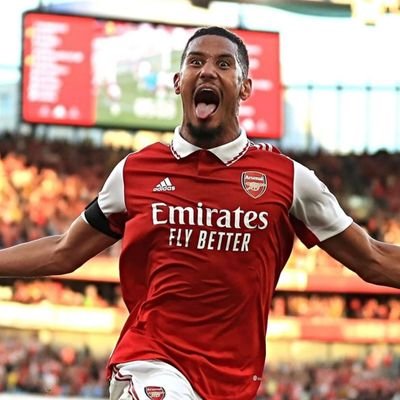 ArsenalLeb0's profile picture. BTC & Arsenal