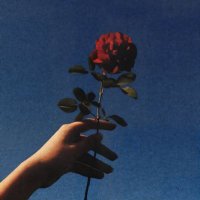 LoveBlink (@blacksedanblink) 's Twitter Profile