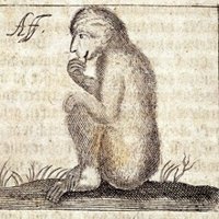 Monk3y_fan23 🇩🇪 (@monk3y64870) 's Twitter Profile