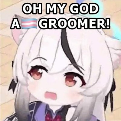 White Rights Supporter. Weeb. Put troonx into mental asylums