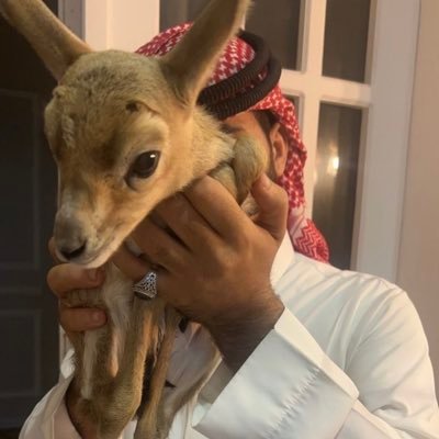 usus_6's profile picture. لابُد لليل أن ينجلي