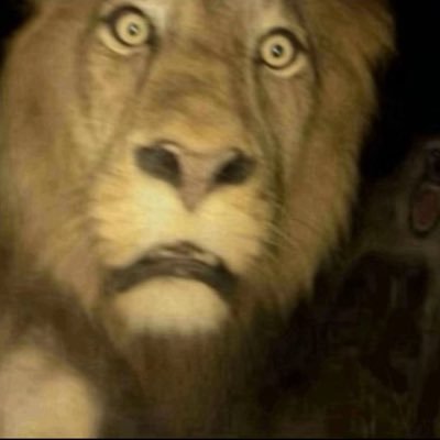 ll2kGodll's profile picture. 