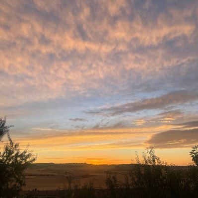 khaos_dimar's profile picture. No te esfuerces por hacer notar tu presencia; sino para que se note tu ausencia