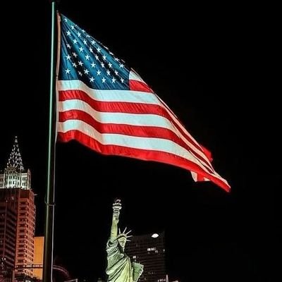 Amir1370449's profile picture. author