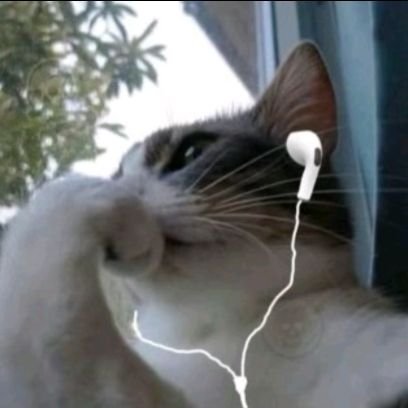 Aleatoriame1562's profile picture. 444