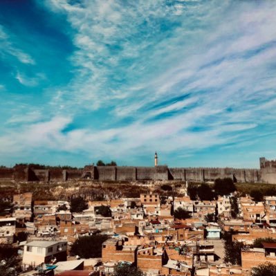 bahozrber's profile picture. AMED~AMEDSPOR