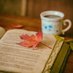 Books n More (@books_nd_more) Twitter profile photo Books n More (@books_nd_more) Twitter profile photo