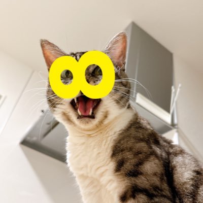 なんと 温かくても冷たくても好きな飲み物を入れられる不思議な筒 なんと 温かくても冷たくても好きな飲み物を入れられる不思議な