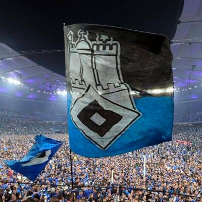 HSV Fan aus purer Überzeugung++BÜNDNIS 90/DIE GRÜNEN++ +Klimaschutz ist Zukunft ++Norddeutsch by nature