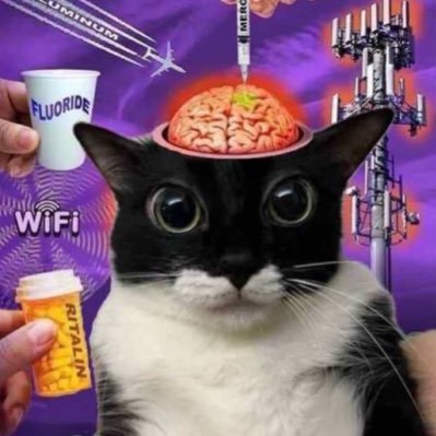 rdasntr7's profile picture. 