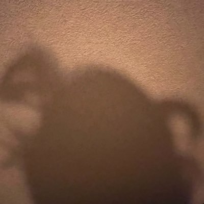 rackce's profile picture. ♡@kirua_041