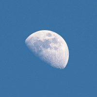 MOoN🌙✨ (@mooan298) 's Twitter Profile