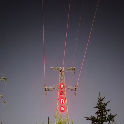 wyl3261's profile picture. 顺其自然