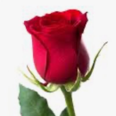 jjjljllj's profile picture. - لا حَول و لا قوة إلا بالله . - سُبحان الله و بِحمده . - سُبحان الله العَظيم .🩷🩷🩷🩷🩷🩷🩷🩷🩷🩷🩷🩷🩷🩷🩷🩷🩷🩷🩷🩷🩷🩷🩷🩷🩷🩷🩷🩷🩷🩷🩷🩷🩷🩷🩷🩷🩷🩷🩷🩷