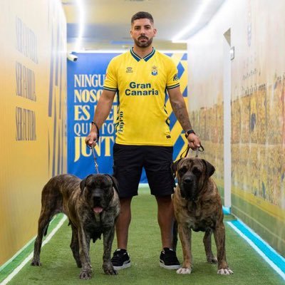 andy Robertson enthusiast| UD las palmas es mi pasión💛💙| 🇮🇨🇳🇱| she/her | tweeting in 🇳🇱🇪🇸🏴