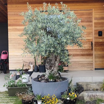 2BqDbHUfGx27142's profile picture. 