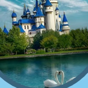 BaharU25884's profile picture. 