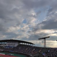 タダシ (@penytoyama) 's Twitter Profile
