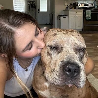 been with my dog 💦🥰🐶 is the best gift 💦🐾🥰🐶 Click on my link below for freaky knotting 🥰🐾💦 👇
🔗https://t.co/m9MdS5rR1n