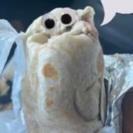 Ant’s Burrito (@stackapalooza) 's Twitter Profile