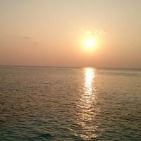 meiko404 (@miu0101404) 's Twitter Profile