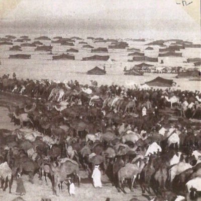 ملتقى بريه من قبيلة مطير ( واصل - اولاد علي )