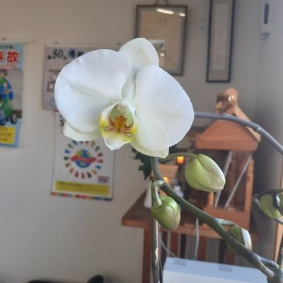 Komatec6417's profile picture. 