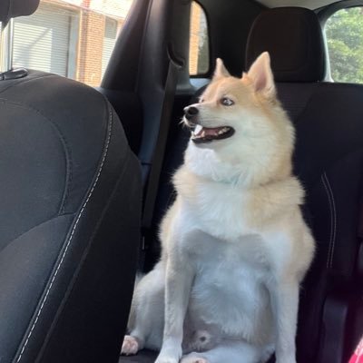 24 yrs old West York Alumni 6/7/2019 Hacc Alumni 12/10/2025 💞🥰 rip panda 12:23pm 3/28/24 & midnight 1/2/2025 at 2:28pm