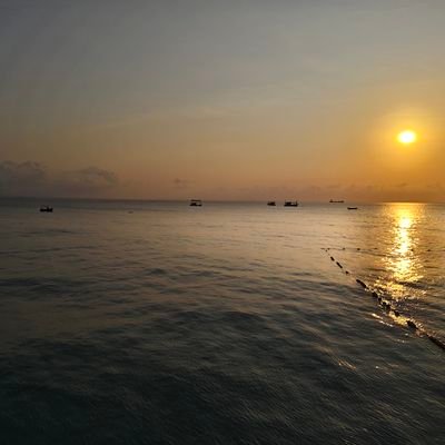 PhartParri's profile picture. 