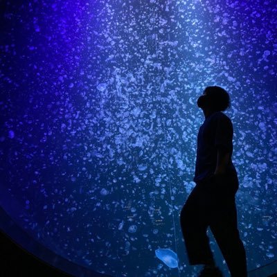 miroBase's profile picture. Java / Spring Boot / TypeScript / Angular / Scala