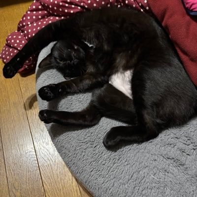 f0jQsBVPRPUk4KA's profile picture. 