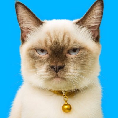 Nnum3000's profile picture. 