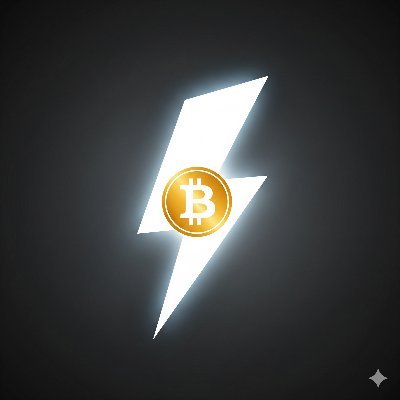 1 BTC = 1 BTC. No alt, no compromise. Just Bitcoin or nothing. ⚡