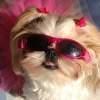 gaby 🪽 (@leeanneloverr) 's Twitter Profile