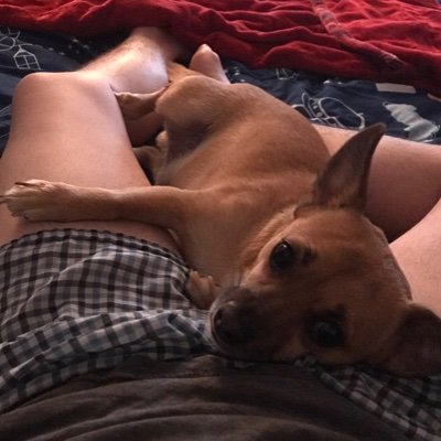 cmp9277's profile picture. Here for everything gay. It’s getting a little political. 32.