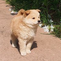 무무 (@moo_moo_ya) 's Twitter Profile
