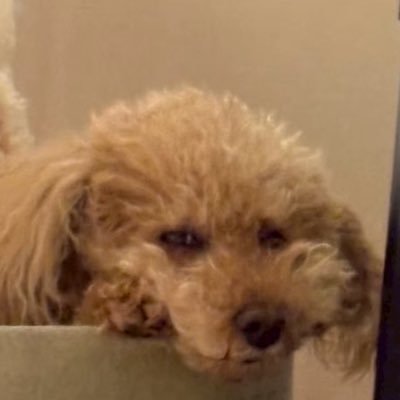 mr_niw2's profile picture. 格闘技 乃木坂 映画 お笑い　舘野さん