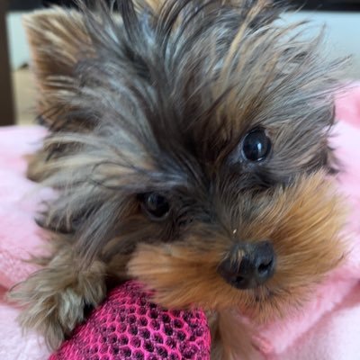 racchi1024's profile picture. 荒野行動エンジョイ勢ID4211173382 ツムツムもやってます