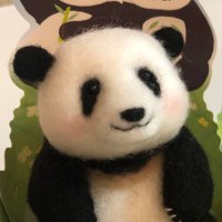 パンダページ 楽天市場】Ball＆Chain ボール＆チェーン 313110 D.PANDA ぱんだ