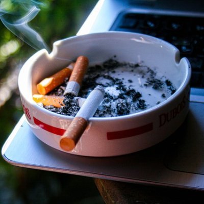 ngotuanhoa19162's profile picture. 