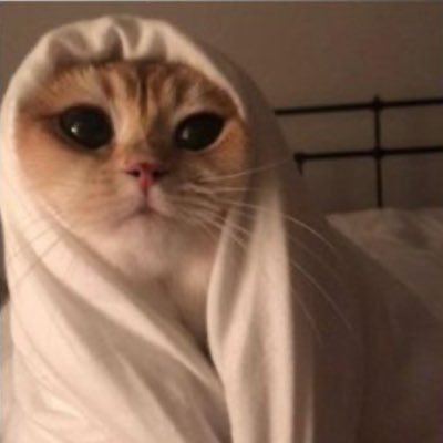 A2xCrypto's profile picture. Trader | AI/Cloud Consulting