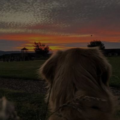 shuttlebus95784's profile picture. 